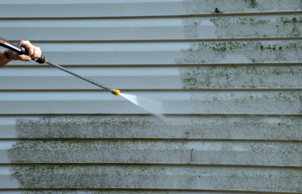 Best Pressure Washing Estimates  in Winfield, IA