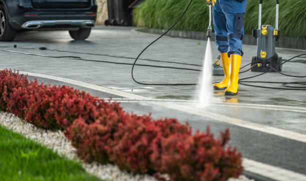 Best Residential Pressure Washing Services  in Winfield, IA