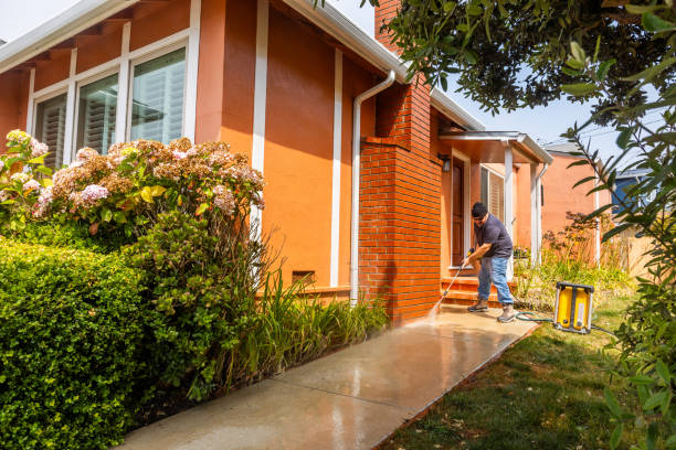 Best Pressure Washing Near Me  in Winfield, IA