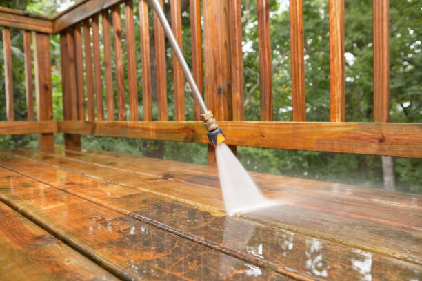 Best Pressure Washing Driveway  in Winfield, IA