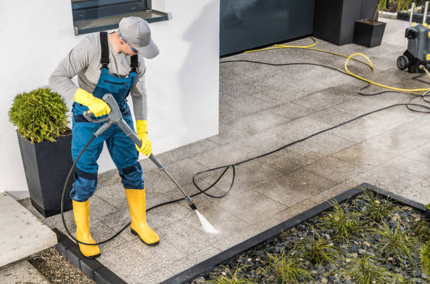 Best Pressure Washing Company Near Me  in Winfield, IA