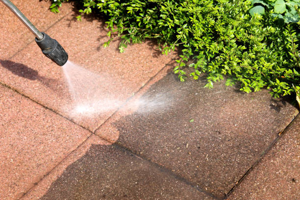 Best Pressure Washing Services Near Me  in Winfield, IA