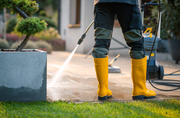 Best Local Pressure Washing Services  in Winfield, IA